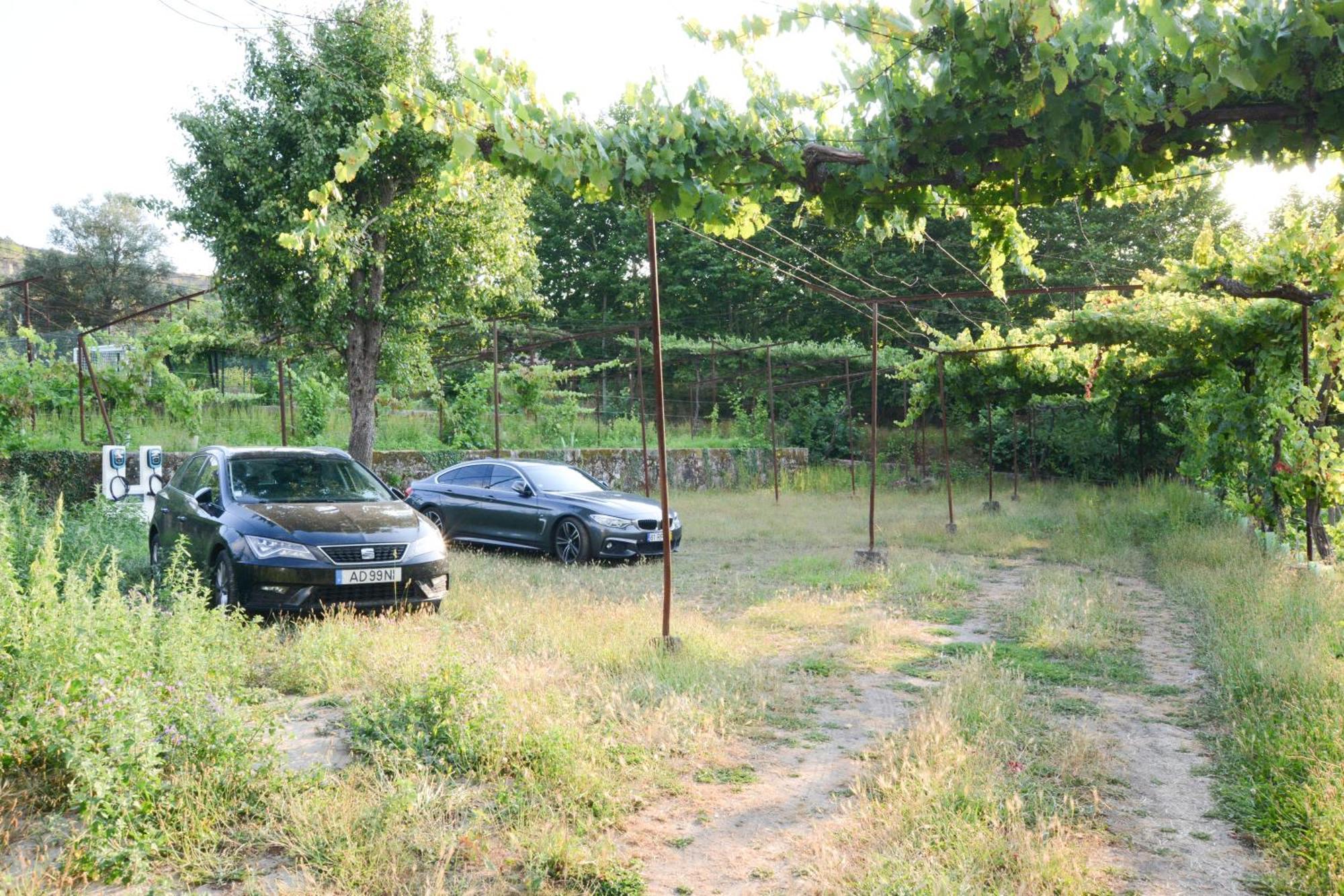 Quinta Do Fundo Villa Mondim de Basto Kültér fotó